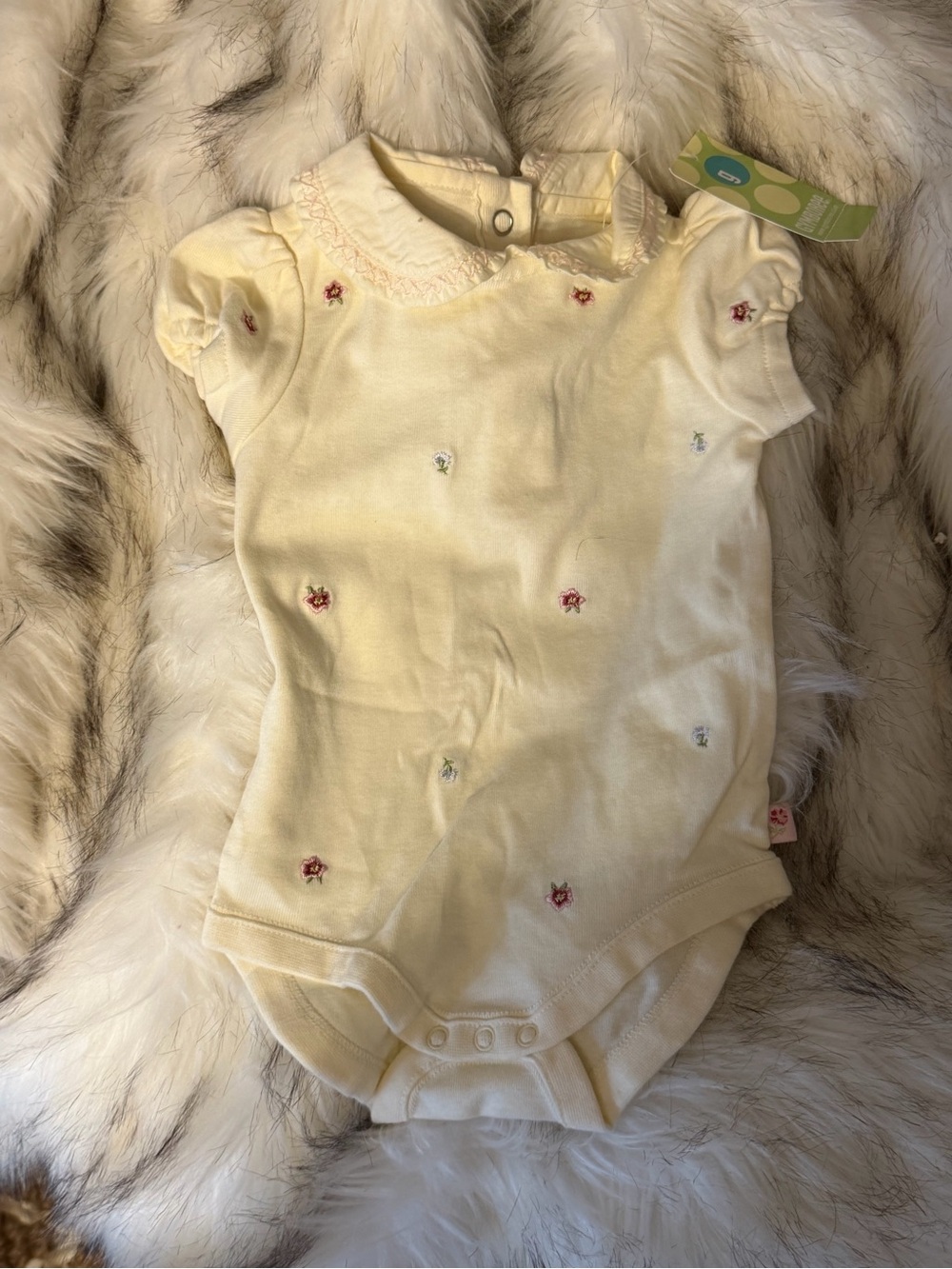 NWT Gymboree Cream Embroidered One-Piece Bodysuit with Peter Pan Collar